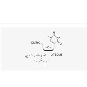 DMT-2'-O-TBDMS-N1-Me-Pseudouridine-CE 875302-45-7