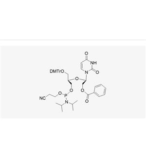 UNA-U-CE Phosphoramidite