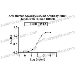 Anti-Human CD368/CLEC4D Antibody (9B9) (FHJ95010)