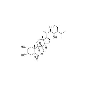 28-高蕓苔素內(nèi)酯 74174-44-0