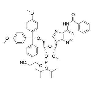 2‘-OMe-A(Bz)亞磷酰胺單體