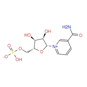  β-煙酰胺單核苷酸  NMN  1094-61-7 