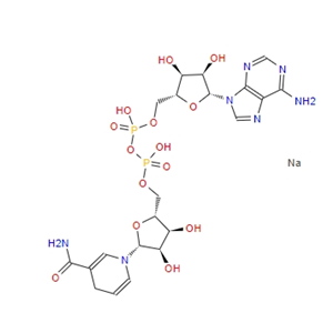 β-煙酰胺腺嘌呤二核苷酸二鈉/還原型輔酶I  NADH  606-68-8