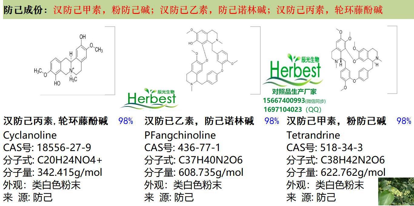 防己_副本.jpg