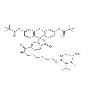 6-Fam-Amidite；5'-Fluorescein CE Phosphoramidite