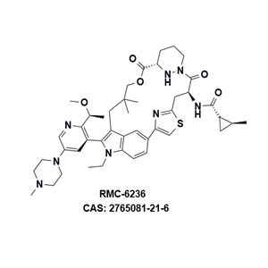 RMC-6236，一種針對泛KRAS突變抑制劑 