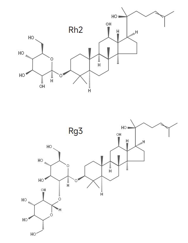 Rh2+Rg3.png