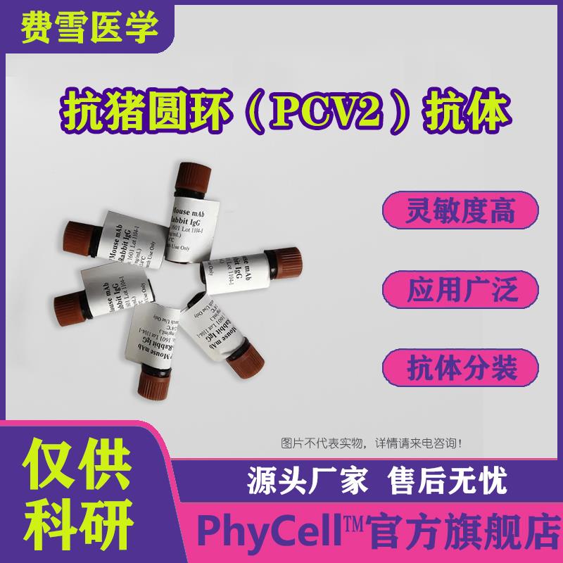 抗豬圓環(huán)（PCV2）單克隆抗體.jpg