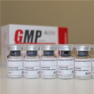 GMP級(jí)別DLL4蛋白-ACROBiosystems百普賽斯