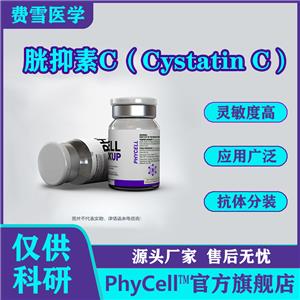 胱抑素C(Cystatin C，Cys C)