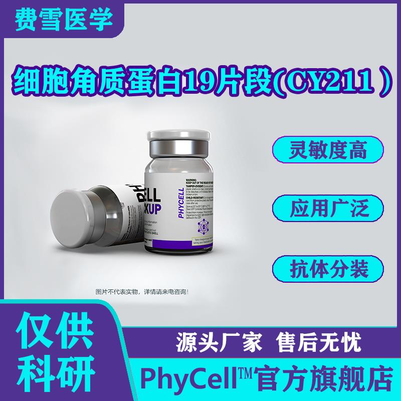 細胞角質蛋白19片段(CY211）.jpg