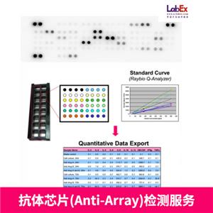 抗體芯片(Anti-Array)，蛋白芯片服務(wù)