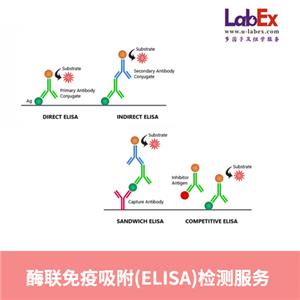 酶聯(lián)免疫吸附(ELISA)檢測(cè)服務(wù)