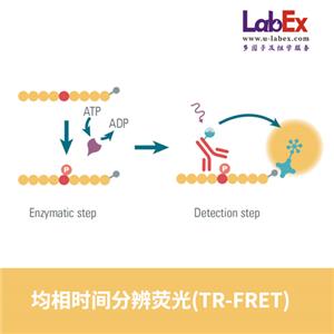 均相時(shí)間分辨熒光(TR-FRET)，HTRF檢測(cè)服務(wù)