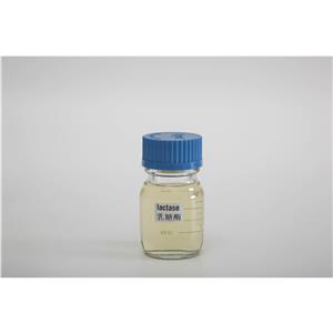 Food Grade Acid Lactase Liquid 20,000 ALU/g