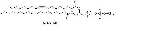 (2,3-二油?；?丙基)-三甲胺硫酸鹽（DOTAPms） (https://www.shochem.cn/)  第1張