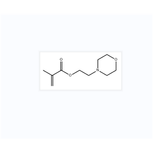 2-甲基-2-丙烯酸2-(4-嗎啉基)乙基酯