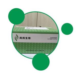 T7 High Yield RNA Transcription Kit（T7高產(chǎn)量RNA轉(zhuǎn)錄試劑盒）