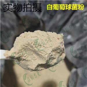 白葡萄球菌粉 |生物發(fā)酵來源  