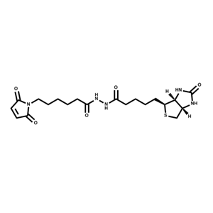 生物素-馬來(lái)酰亞胺；116919-18-7