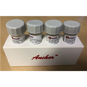 Anchor Molecular分子標準品的杰出供應(yīng)商