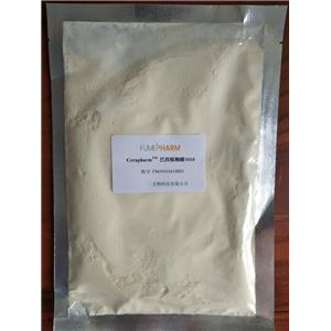 巴西棕櫚蠟-藥用輔料，符合20版藥典，包衣材料和釋放阻滯劑，1kg