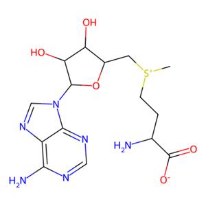 aladdin 阿拉丁 S107408 S-腺苷甲硫氨酸對甲苯磺酸鹽 17176-17-9 80%
