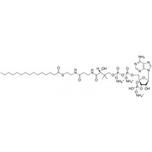 aladdin 阿拉丁 P332735 十五烷酰輔酶A（銨鹽） 24870-39-1 99%
