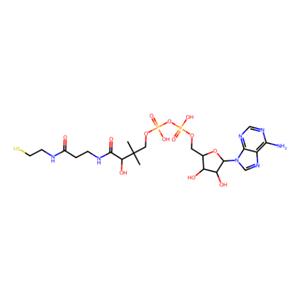 aladdin 阿拉丁 D338683 3′-脫磷酸輔酶A 3633-59-8 ≥90%