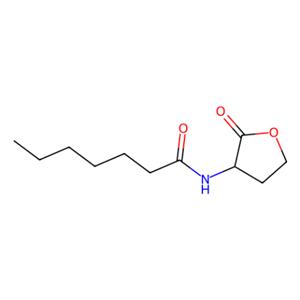aladdin 阿拉丁 N348009 N-[(3S)-2-氧代四氫-3-呋喃基]庚酰胺 177158-20-2 98%