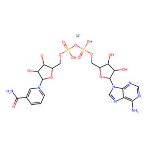 aladdin 阿拉丁 N196978 β-煙酰胺腺嘌呤二核苷酸 鋰鹽 64417-72-7 ≥95%