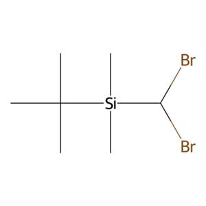 aladdin 阿拉丁 T356935 叔丁基(二溴甲基)二甲基硅烷 148259-35-2 95%