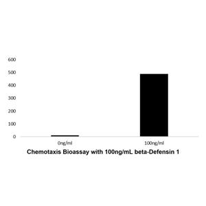 aladdin 阿拉丁 rp143234 Recombinant Human beta-Defensin 1 Protein Animal Free, >98%(SDS-PAGE, HPLC), Active, E.coli, No tag, 22-68 aa