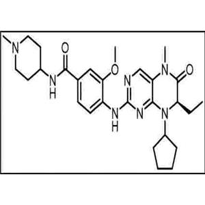 BI 2536 PLK1急性髓細(xì)胞白血病 