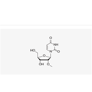 2'-OMe-uridine