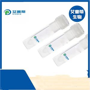 CDCP1抗體；CDCP1 antibody 艾普蒂生物              