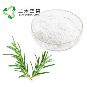 迷迭香提取物, 天然抗氧化劑，迷迭香酸，鼠尾草酸，熊果酸，Rosemary Herb Extract