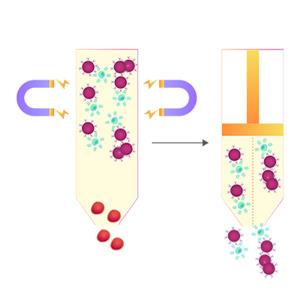 HER2磁珠-ACROBiosystems百普賽斯