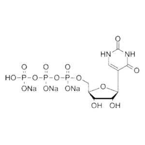 假尿苷三磷酸鈉鹽溶液pUTP