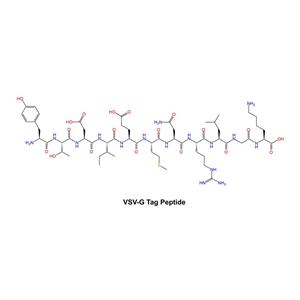 VSV-G Tag Peptide 