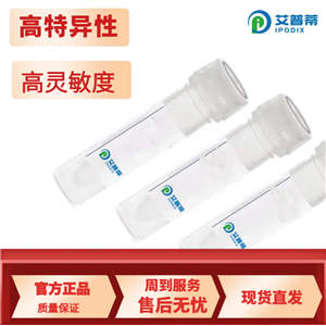 MARK4抗體；MARK4 antibody  艾普蒂生物