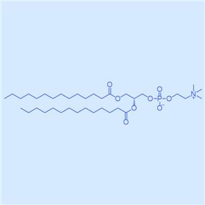 DMPC,二肉豆蔻?；蚜字?18194-24-6