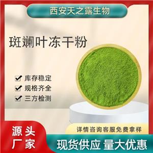 廠家直銷斑斕葉凍干粉 斑斕葉粉80-1000目斑斕葉粉現(xiàn)貨包郵