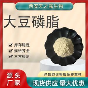 廠家直銷 大豆磷脂 磷脂酰膽堿 8002-43-5 食品級化妝品級 卵磷脂