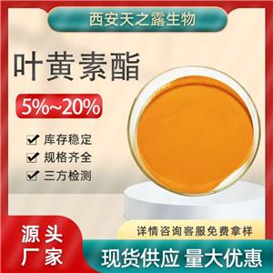 廠家直供 葉黃素酯5% 10%葉黃素酯 葉黃素粉 葉黃素酯微囊粉 現(xiàn)貨