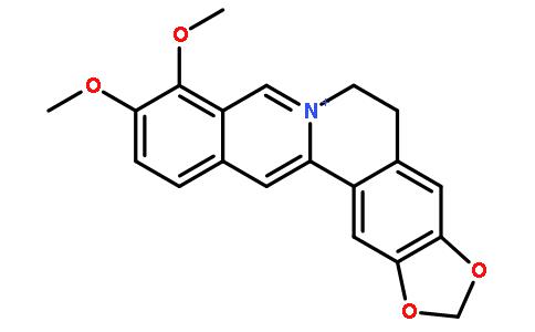 小檗堿「CAS號:2086-83-1」_MSDS_用途_熔點_沸點-前衍化學