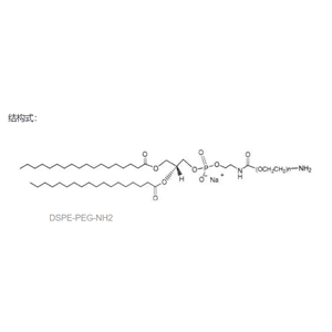 DSPE-PEG-NH2   分子量：1k，2k，3.4k，5k，10k，20k（可定制）