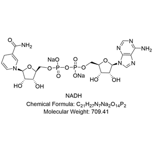 NADH；β-還原型煙酰胺腺嘌呤二核苷酸；還原型輔酶 I