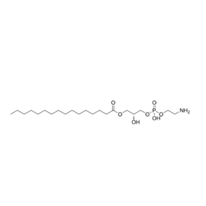 1-棕櫚?；?2-羥基-sn-甘油-3-磷酸乙醇胺