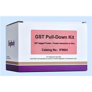 蛋白互作GST Pull-Down試劑盒